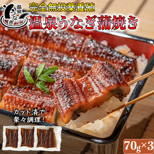 国産 温泉うなぎ 蒲焼 カット 70g×3【大分水産】 うなぎ 完全無投薬 九州 大分県 うな丼 うな重 冷凍 鰻 ギフト 受賞 食べきり 個包装 小分け スタミナ 夏バテ ＜104-002＞