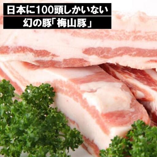 D1216 塚原牧場の幻の豚「梅山豚」バラブロック650g