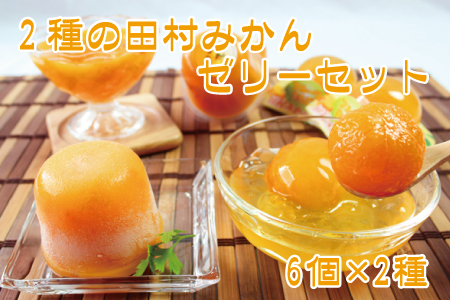 2種の田村みかんゼリーセット【uot102】