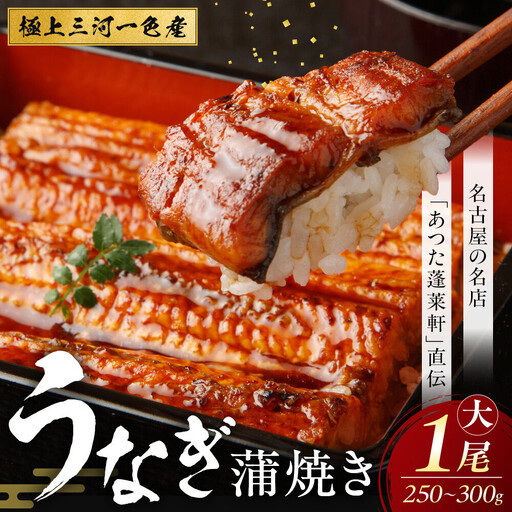 熱田蓬莱軒 直伝 うなぎ蒲焼 1尾 三河一色 うなぎ 鰻