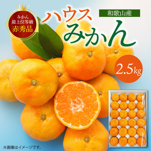 【2027年先行予約】紀州和歌山 ハウスみかん 2.5kg 赤秀品_G6029