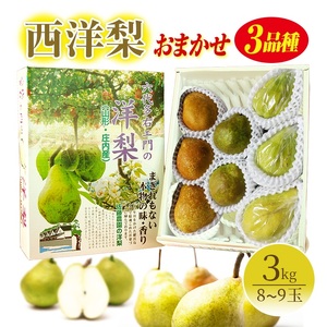 SA3077　六代多右エ門　西洋梨 おまかせ3品種　約3kg(8～9玉) 