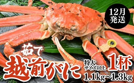[先行予約][12月発送限定]茹で越前がに 1杯 1.1kg〜1.3kg[新鮮!茹でたてを発送]/ 高級 福井 ブランド ズワイガニ 黄色タグ ボイル 冷蔵 蟹 カニ 期間限定[年内 12月23日まで]※2026年12月上旬〜2026年12月25日で [aw002-x004_12]