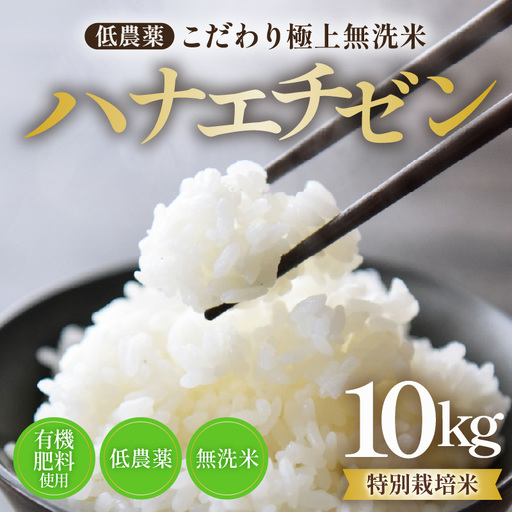 【令和8年産】特別栽培米 ハナエチゼン 無洗米 10kg  低農薬 《こだわり無洗米》 / 福井県 あわら 北陸 米 お米 人気 [aw032-b008]