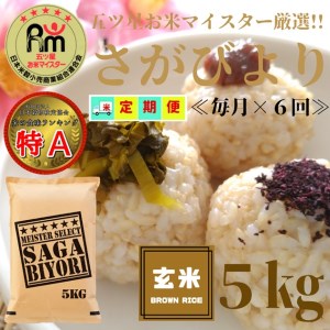 CID46_【６回定期便】 さがびより【玄米】５kg 【五つ星お米マイスター厳選！】