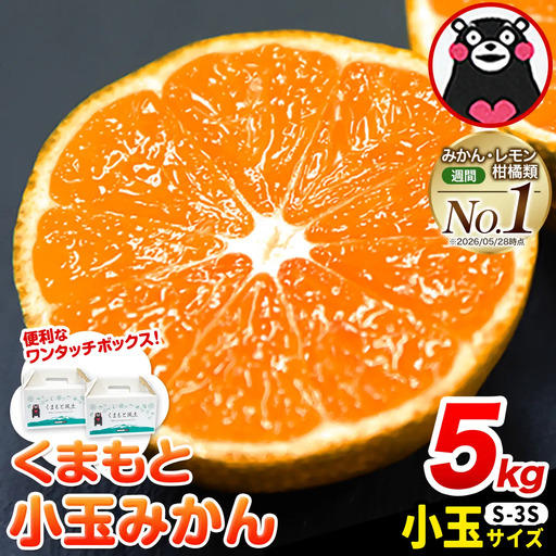 訳あり くまもと小玉みかん 約5kg みかん