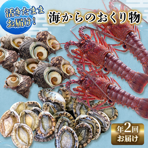 [アワビについて注意事項あり]海鮮セット 定期便 年2回 水産 伊勢海老 刺身 おかず