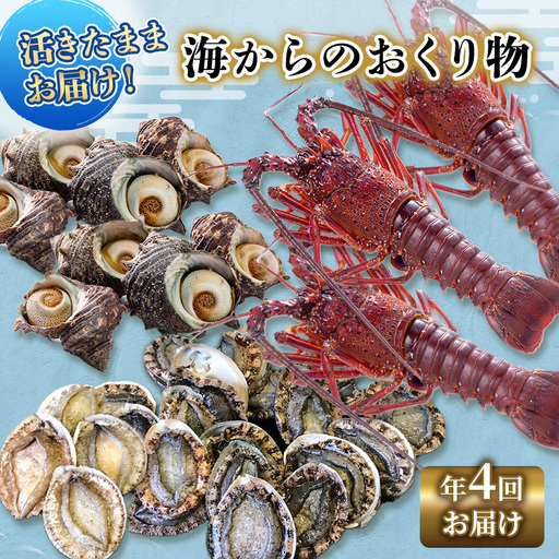 海鮮セット 年4回 定期便 アワビ 伊勢海老 刺身 海鮮セット
