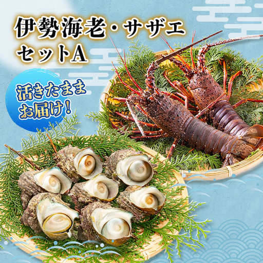 海鮮セット 活伊勢海老＆サザエ Aセット 活き伊勢海老 2～3匹 活サザエ 4～15匹 水産