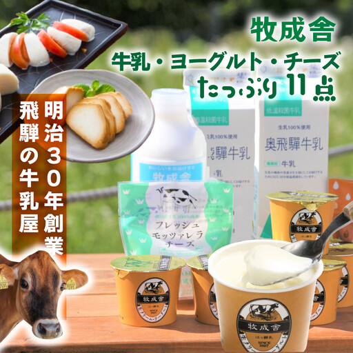 [飛騨乳製品バラエティセット]牛乳・ヨーグルト・チーズ詰め合わせ 11点|ヨーグルト