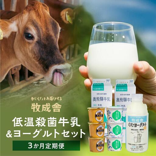 [牧成舎] 定期便3回 飛騨の牛乳屋のこだわり 牛乳&ヨーグルトお届けセット(3か月)|