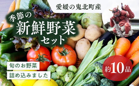 鬼北の大地が育んだ新鮮野菜!季節の新鮮野菜詰め合わせ [野菜 やさい 詰め合わせ 新鮮 旬 季節 愛媛県 鬼北町]