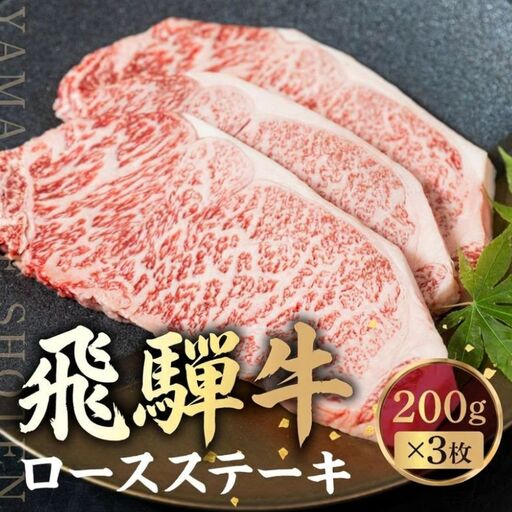 飛騨牛 ロースステーキ 200g×3枚 | 旨味を瞬間冷凍 黒毛和牛霜降り ステーキ 山武商店 LZ018VC13