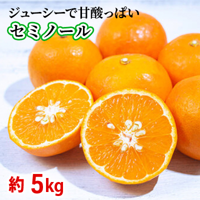 セミノール　約5kg 果物類 柑橘類 フルーツ オレンジ みかん ミカン