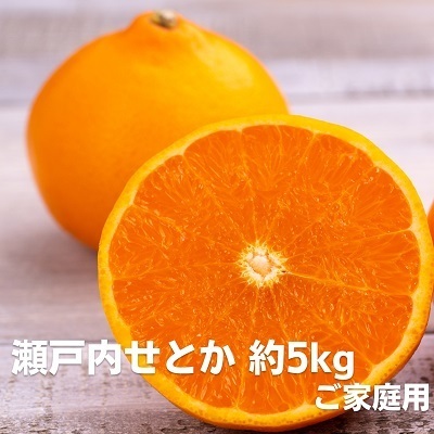 せとか 瀬戸内 ご家庭用 みかん せとか[約5kg][先行予約]