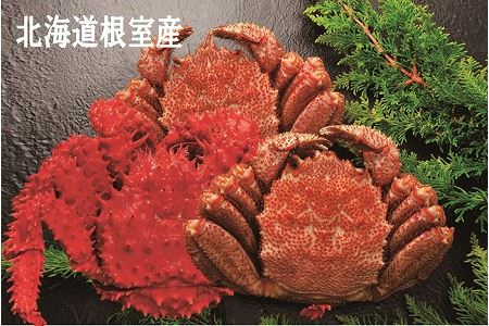 【北海道根室産】花咲がに1尾と毛がに2尾 C-01025