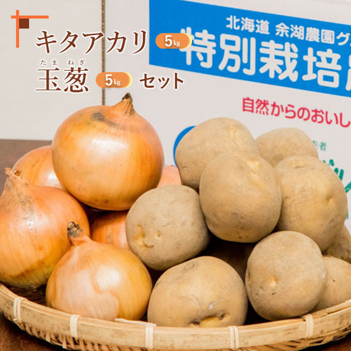 【先行予約】キタアカリ5kg、玉葱5kgセット【31000704】
