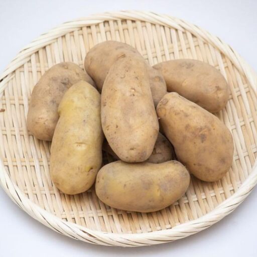 【2026年10月中旬頃発送予定】じゃがいも メークイン 10kg 先行予約 北海道 [AXAE002]