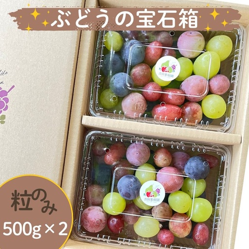 ぶどうの宝石箱（品種いろいろ、粒のみ詰合せ）　５００ｇ×２パック　0065-2603