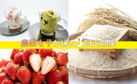 AE029_中山さんがお届けするこだわり農産物&加工品　年３回セット