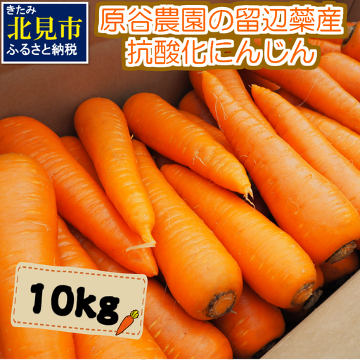 [予約:2026年8月下旬から順次発送]原谷農園の抗酸化にんじん 10kg ( 野菜 にんじん 人参 お菓子 新鮮 北海道産 10キロ )[058-0003-2026]