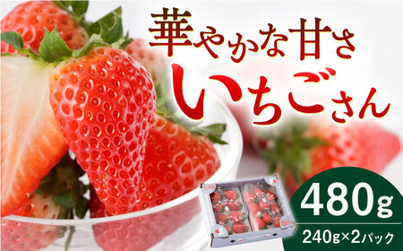[先行予約 2027年1月〜発送]いちごさん 240g×2パック いちご