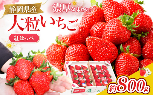 【先行予約/数量限定】新鮮大粒いちご！伊豆紅ほっぺ厳選（約400g×2パック）