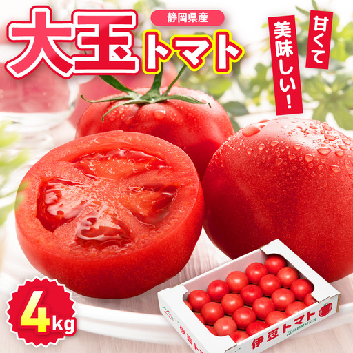 伊豆の国産！大玉トマト（4kg）