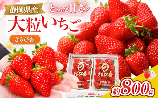 【先行予約/数量限定】希少いちご！名産地 伊豆のきらぴ香（約400g×2パック）