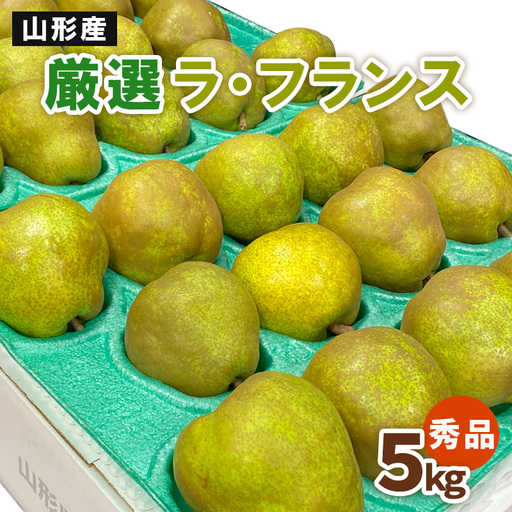 厳選ラ・フランス 秀品5kg FZ20-577