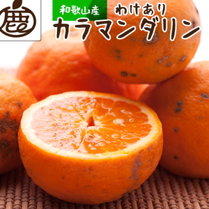 ＜4月より発送＞家庭用カラマンダリン2.5kg+250g（傷み補償分）◇【南津海・なつみ】【訳あり・わけあり】【希少な春柑橘】【みかんと同じように食べられます】