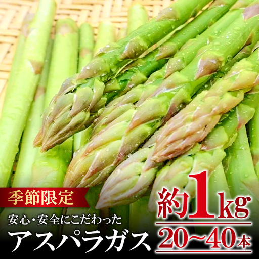 アスパラガス(約1kg)[季節限定 アスパラガス アスパラ 約1kg 20〜40本 美味しまね認証 安心 安全 甘い とろける 初夏 野菜 初夏 塩ゆで 肉巻き おかず 期間限定 5月〜9月上旬発送]