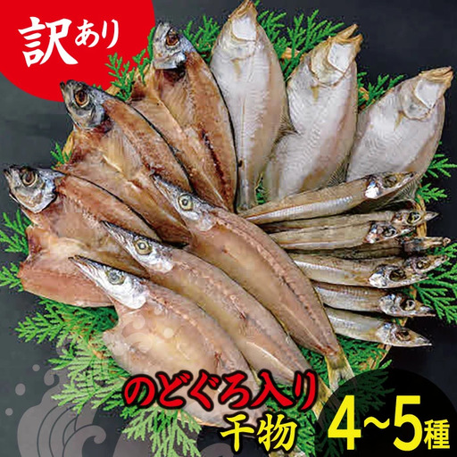 [訳あり]魚の干物おまかせ詰合せセット(のどぐろ入り) [干物 4〜5種 ランダム お楽しみ 島根県産 大田市 魚介類 のどぐろ 白いか アジ カレイ 無添加 天日塩 減塩仕立て 冷凍]