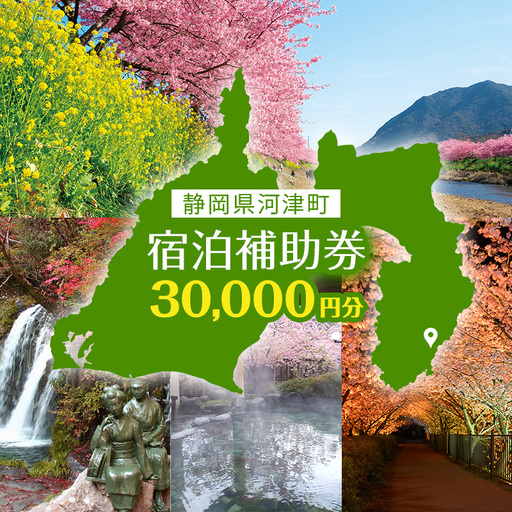 宿泊券 たっぷり河津旅 30000円分 ホテル 旅館 宿泊券