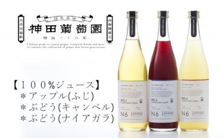 【神田葡萄園】100% ジュース リアスシリーズ 720ml×3本セット 【 ノンアルコール 飲み比べ 飲料 飲み物 ギフト 贈答品 】 RT1406