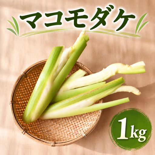 【先行予約・期間限定】季節限定 マコモダケ 1kg 10本程度 まこも マコモ 真菰筍 まこもだけ まこもたけ 新鮮 旬 野菜 送料無料 nc001