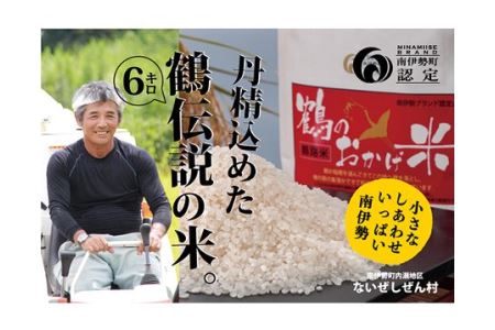 令和8年産 こしひかり 6kg こしひかり ないぜしぜん村