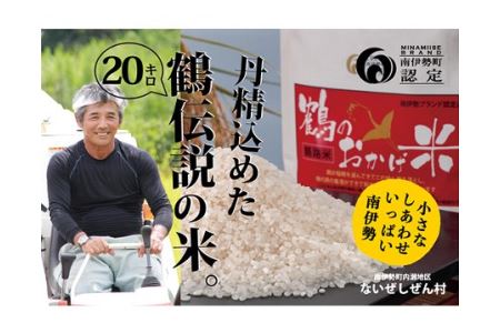 令和8年産 こしひかり 20kg 10kg×2袋 こしひかり 米 お米
