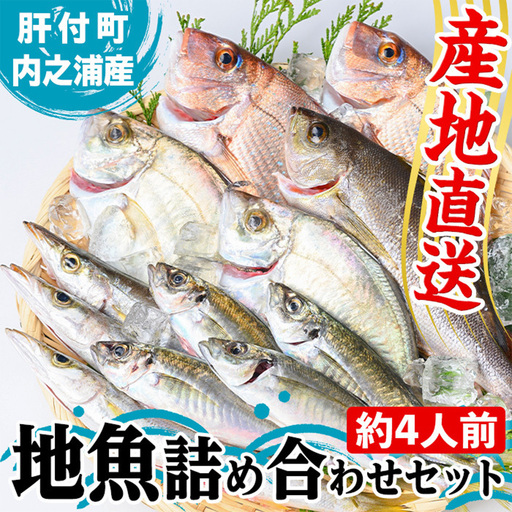 【A09002】地魚 詰め合わせ セット 約4人分 産地直送 鮮魚ボックス 鮮魚BOX【マルケイ水産】