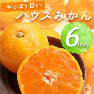 【2026年先行予約】ハウスみかん 6パック 【ミカン 蜜柑 柑橘 温州みかん 有田みかん 和歌山】_BF6054