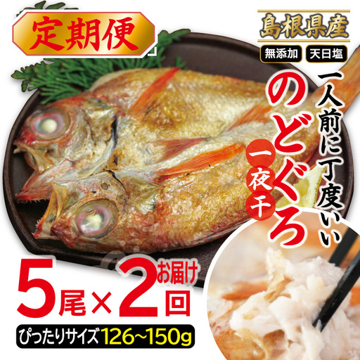 ぴったりサイズの「のどぐろ一夜干」５枚　定期便(２回お届け)【定期便 のどぐろ 干物 126～150g×5尾 2回 定期 一人前 天日塩 贅沢 のどぐろ干物 個包装 自宅用 ギフト 島根県 大田市】