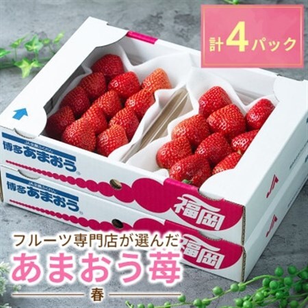 【2027年発送先行受付】フルーツ専門店が選んだ「あまおう苺」春250g×4パック(大野城市)_いちご 苺 イチゴ あまおう フルーツ 果物 くだもの ふるーつ ギフト 人気 旬 プレゼント 贈り物 送料無料 専門店_【配送不可地域：離島】【1083237】