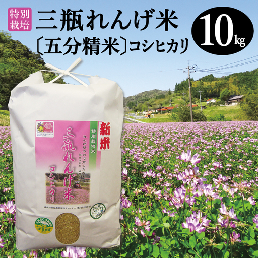 〈五分精米〉特別栽培 三瓶れんげ米 コシヒカリ 10kg【令和6年産 先行予約 こしひかり お米 10kg 2024年産 特別栽培米 五分精米 1等米 無化学窒素肥料 減農薬米】