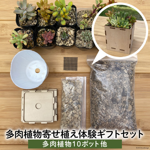 安心やすらぎ共和国 OASIS REPUBLIC -SUNAGAWA BASE- 片桐農園×空知単板工業 『多肉植物寄せ植え体験ギフトセット』