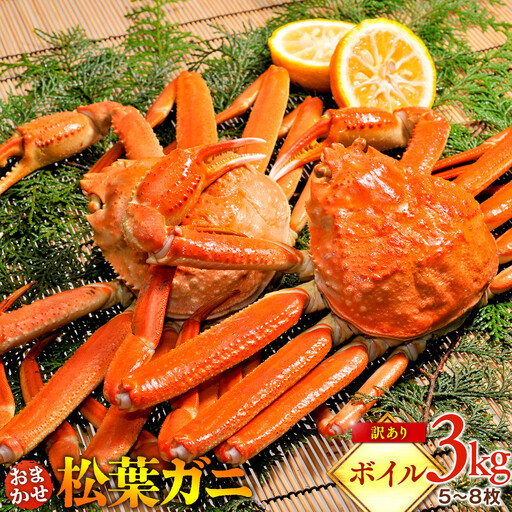 [ボイル]訳あり 松葉ガニおまかせ3kg(5〜8枚) | 松葉 カニ 訳あり活 特大 美味しさに 訳あり 不揃い でないたっぷり ※2026年11月上旬〜2027年3月下旬頃に順次発送予定 ※着日指定不可