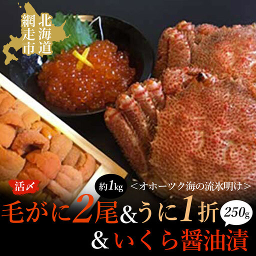 うに 北海道 海産物 ＜オホーツク海の流氷明け＞活〆毛がに2尾（合計約1kg）＆いくら醤油漬（250g）＆うに（1折　50g）セット（網走加工） ABAO029