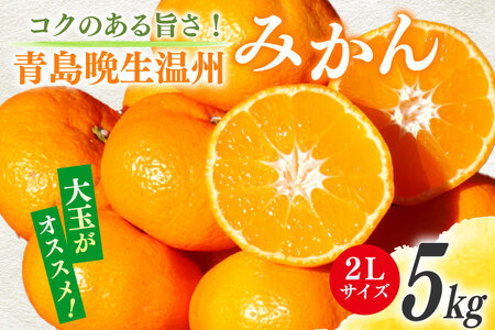 【期間限定発送】 みかん 5kg コクのある甘さ うまぁ?い！！青島晩生温州みかん 2L