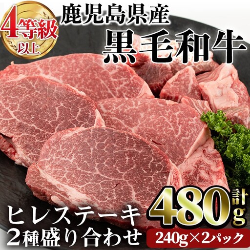 鹿児島県産 黒毛和牛 (4～5等級)ヒレ ステーキ 2種盛り(合計480g・240g×2パック) 牛肉 赤身 国産【LRプラスK】A231-v01