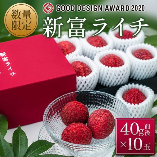 [2027年発送]先行予約 希少!国産[新富ライチ]40g前後×10玉 国産 ブランド フルーツ 果物 贈答品[B120-27]