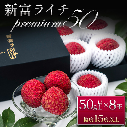 [2027年発送]先行予約 希少!国産[新富ライチpremium50]50g以上×8玉 国産 ブランド フルーツ 果物 贈答品[C52-27]
